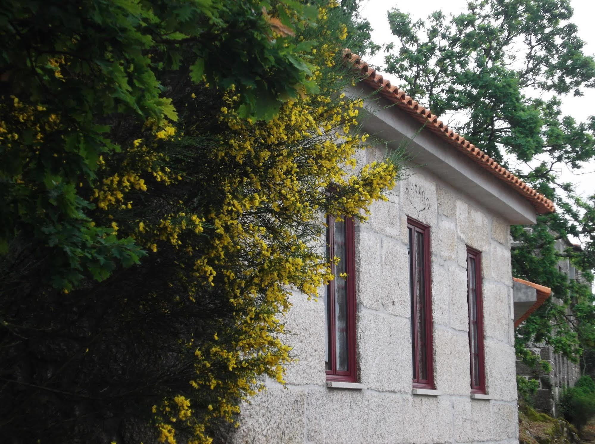 Casa Do Tear Villa Macieira de Alcoba Bagian luar foto